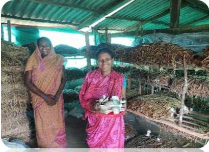 Rural Non-Farm Sector-based Livelihoods